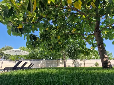 Vrt u objektu Villa Verbena