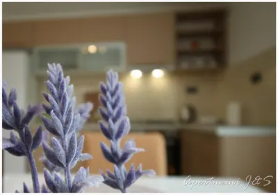 Kuhinja ili čajna kuhinja u objektu Apartmani Jere&Sara
