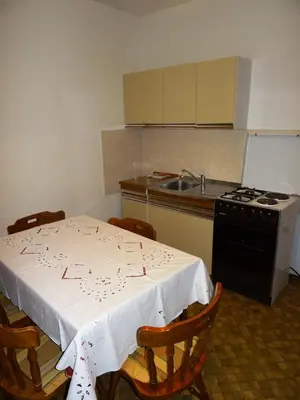 Kuhinja ili čajna kuhinja u objektu Apartman Jadranka
