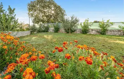 Vrt u objektu Awesome Home In Unesic