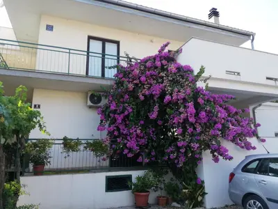 Vrt u objektu Apartmani Danica