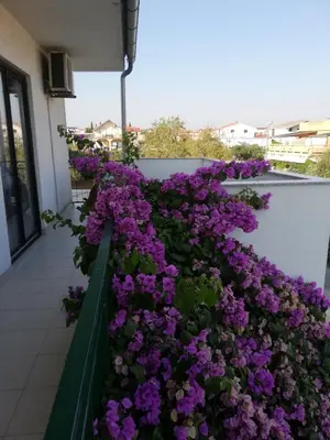Balkon ili terasa u objektu Apartmani Danica