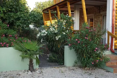 Vrt u objektu Pirovac - most beautiful beaches in Dalmatia