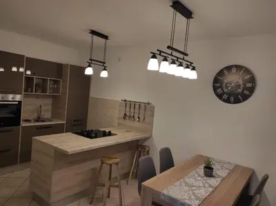 Kuhinja ili čajna kuhinja u objektu Apartments Ukic