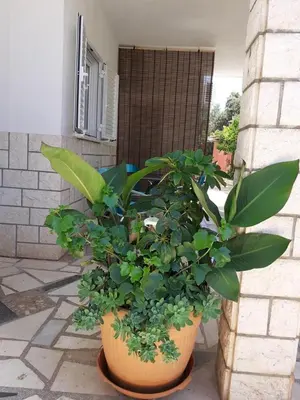 Vrt u objektu Apartments Ukic