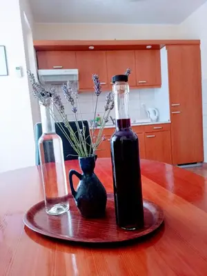 Kuhinja ili čajna kuhinja u objektu Apartmani Henjak