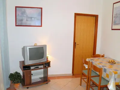 TV i/ili zabavni centar u objektu Apartments Villa Estella