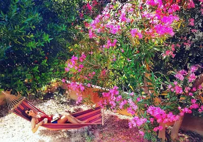 Tlocrt objekta Family apartment with shared garden, 4min to beach