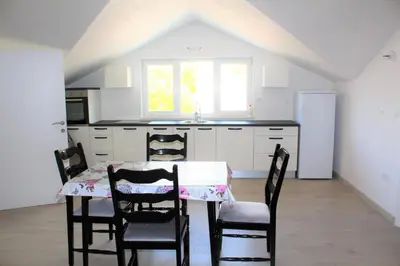 Kuhinja ili čajna kuhinja u objektu APARTMANI BELVEDERE BILO