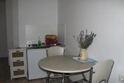 Kuhinja ili čajna kuhinja u objektu Apartments Pine
