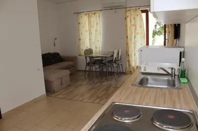 Kuhinja ili čajna kuhinja u objektu Apartments Pine
