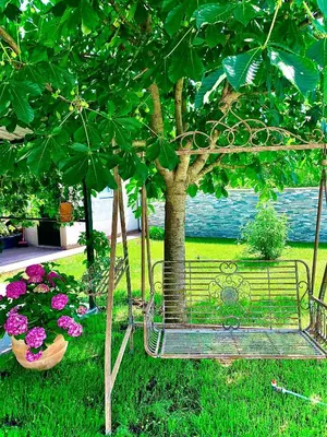 Vrt u objektu Villa Endi,a gem near Sibenik
