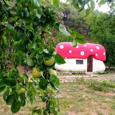 Mushroom house - Sleeps 4 - Pets Ok - Parking