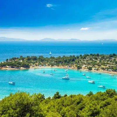Paradise kosirina