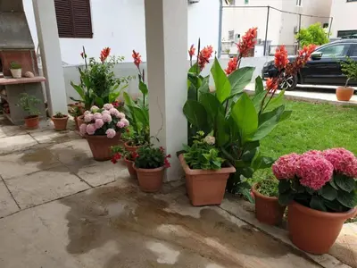 Vrt u objektu APARTMAN MURTER CENTAR