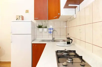 Kuhinja ili čajna kuhinja u objektu Apartments Petranić