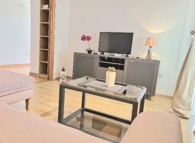 TV i/ili zabavni centar u objektu Apartments Petranić