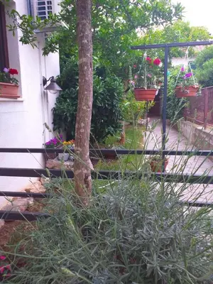 Vrt u objektu Apartments Villa Arta
