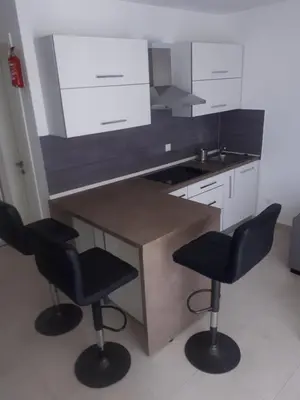 Kuhinja ili čajna kuhinja u objektu STUDIO APARTMAN LABRADOR