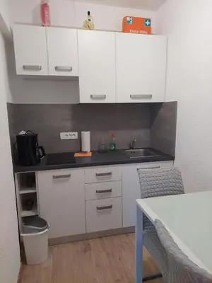 Kuhinja ili čajna kuhinja u objektu Apartments Jelena