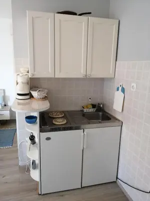 Kuhinja ili čajna kuhinja u objektu Apartmani Nevena