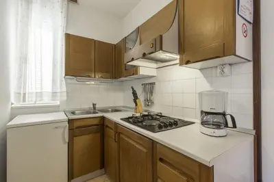 Kuhinja ili čajna kuhinja u objektu Apartments Konta City center