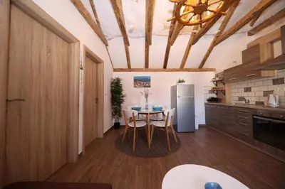Kuhinja ili čajna kuhinja u objektu Apartmani Dvor Betina