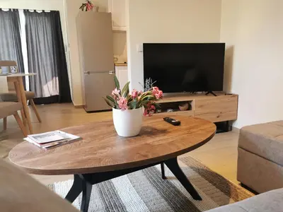 TV i/ili zabavni centar u objektu Lavender Rose Apartments