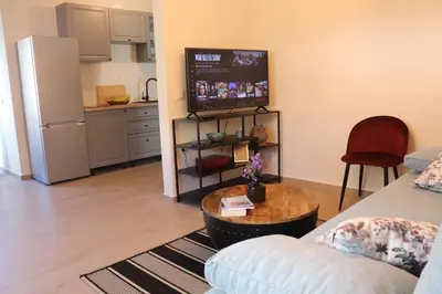 TV i/ili zabavni centar u objektu Lavender Rose Apartments