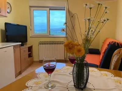 TV i/ili zabavni centar u objektu Apartman Luka