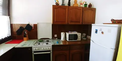 Kuhinja ili čajna kuhinja u objektu Apartman Ana