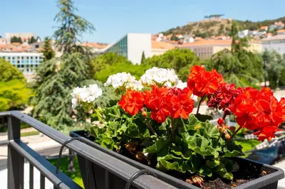 Tlocrt objekta Luxury apartments Azalea Šibenik