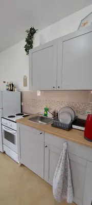 Kuhinja ili čajna kuhinja u objektu Apartmani Dejan