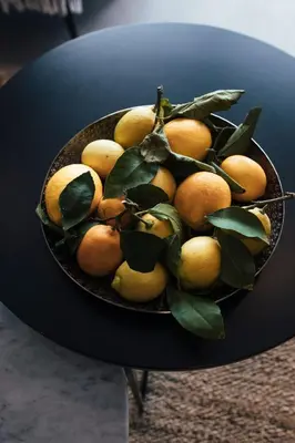 Hrana u vili ili u blizini