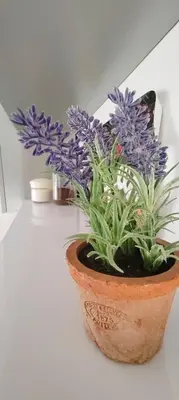 Tlocrt objekta Apartment Zlatko