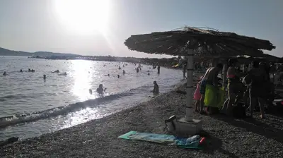 Priroda u blizini apartmana