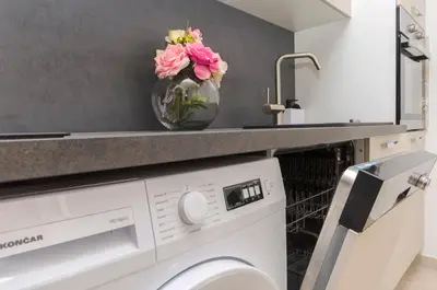 Kuhinja ili čajna kuhinja u objektu Apartments Ani