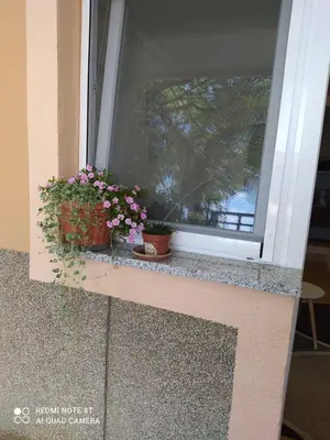 Balkon ili terasa u objektu STUDIO APARTMAN KATARINA