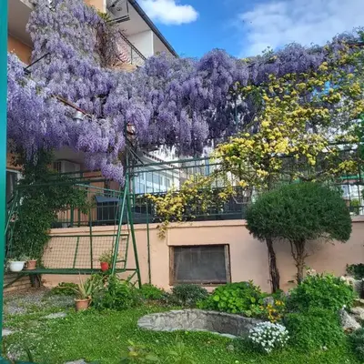STUDIO APARTMAN KATARINA