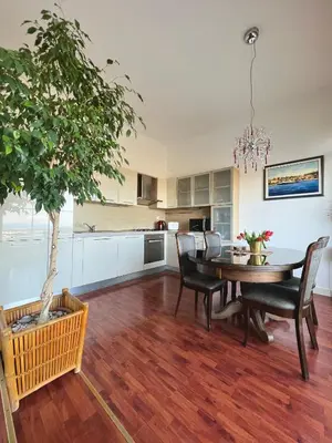 Kuhinja ili čajna kuhinja u objektu Apartment STAR Blažev