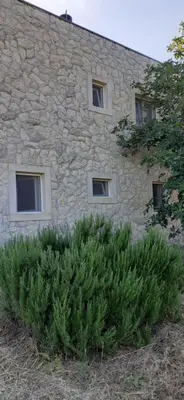 Vrt u objektu Oaza mira