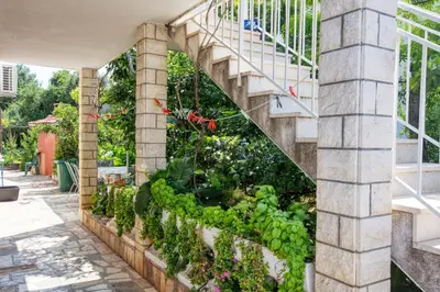 Vrt u objektu Apartments by the sea Rogoznica - 10268