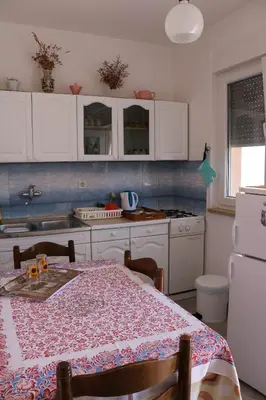 Kuhinja ili čajna kuhinja u objektu Apartmani Iva