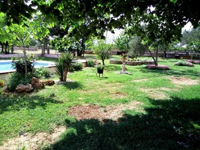Vrt u objektu Family-friendly apartments with swimming pool Lozovac, Krka - 18961
