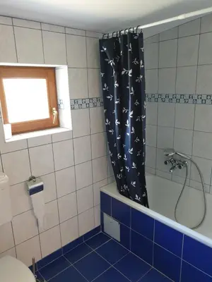 Kupaonica u objektu OLIVA DOM Čista Mala