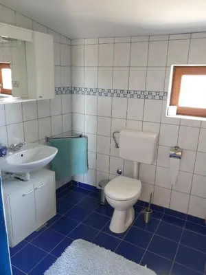 Kupaonica u objektu OLIVA DOM Čista Mala