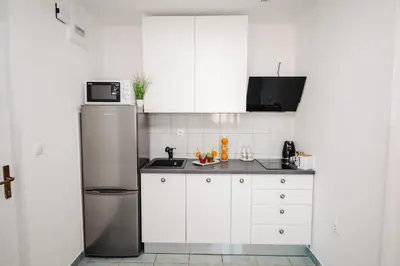 Kuhinja ili čajna kuhinja u objektu Studio apartmant Tonka