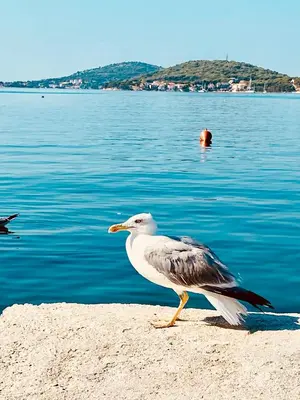 Priroda u blizini apartmana