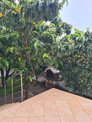 Vrt u objektu Villa Neda