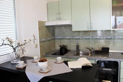 Kuhinja ili čajna kuhinja u objektu Apartman Vlaić